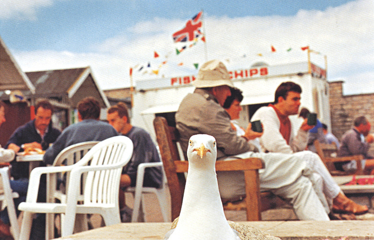 fot. Martin Parr