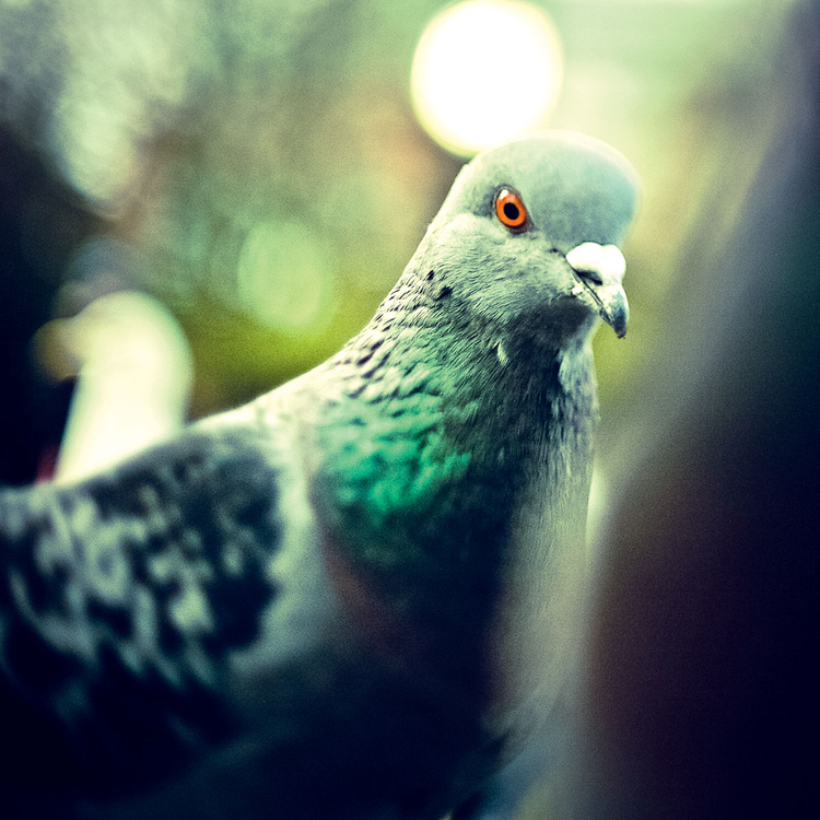 fot. Maciej Pietuszyński