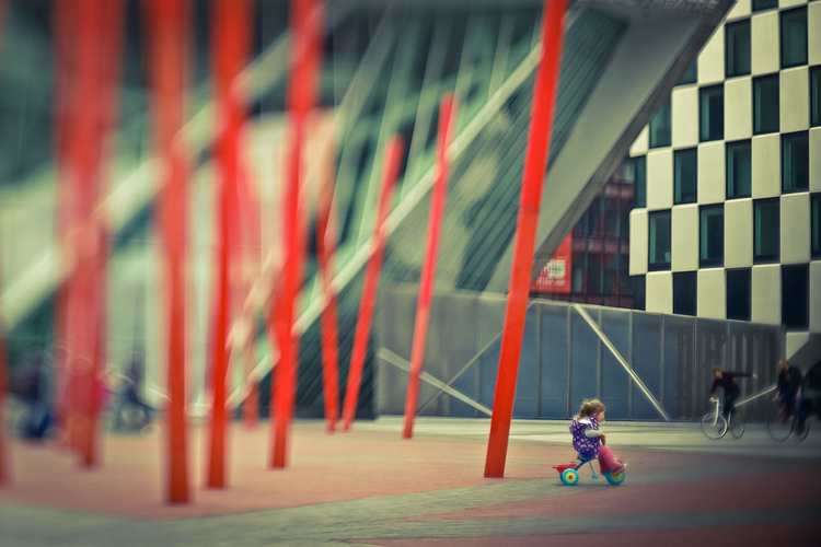 fot. Maciej Pietuszyński