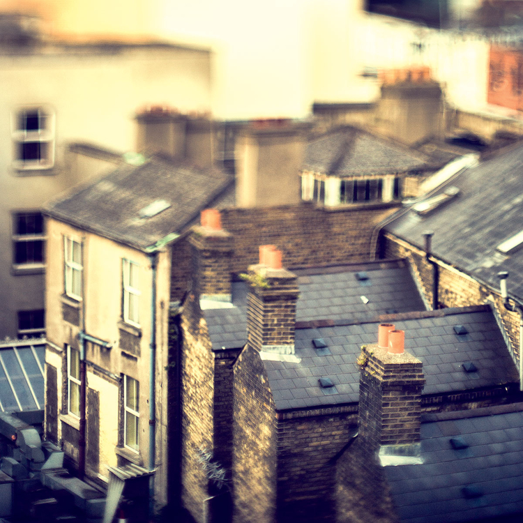 fot. Maciej Pietuszyński